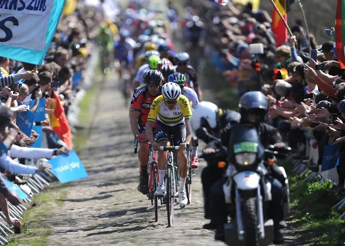 Maison à Villa Roubaix